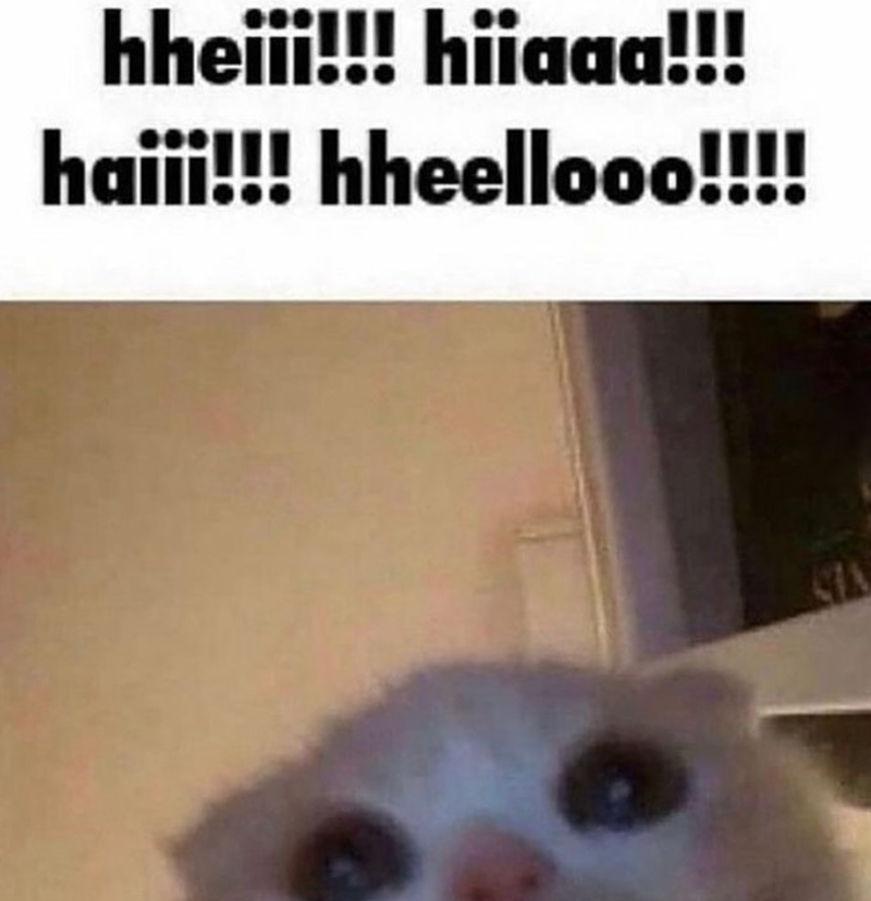 hheiii!!! hiiaaa!!! haiii!!! hheellooo!!!! STA