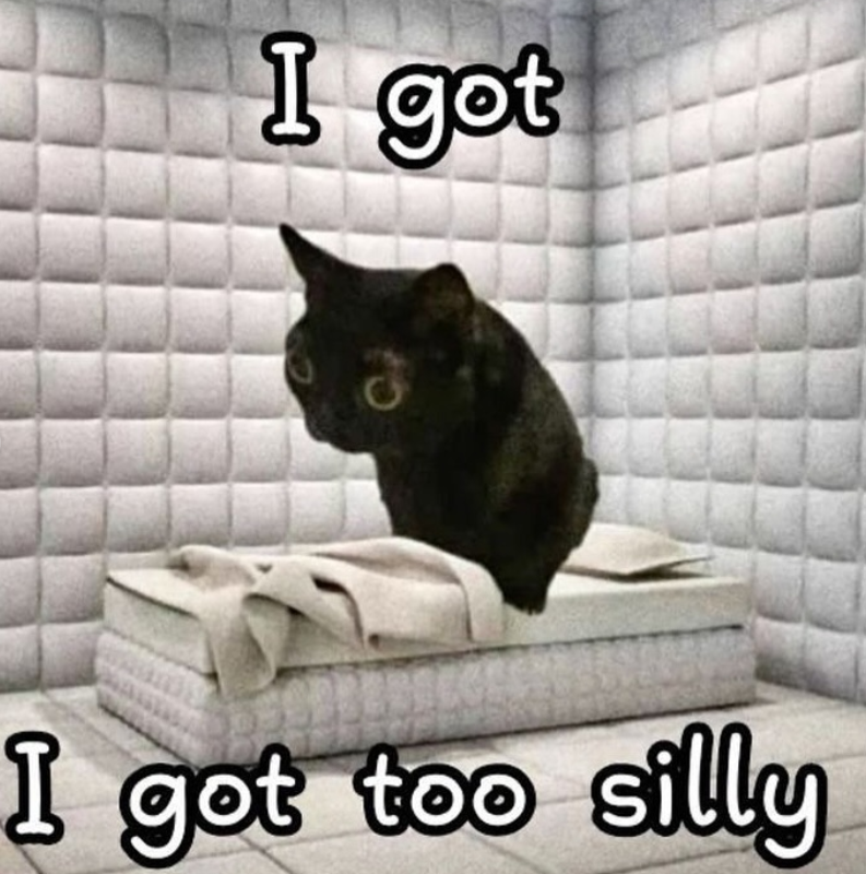 I got I got too silly