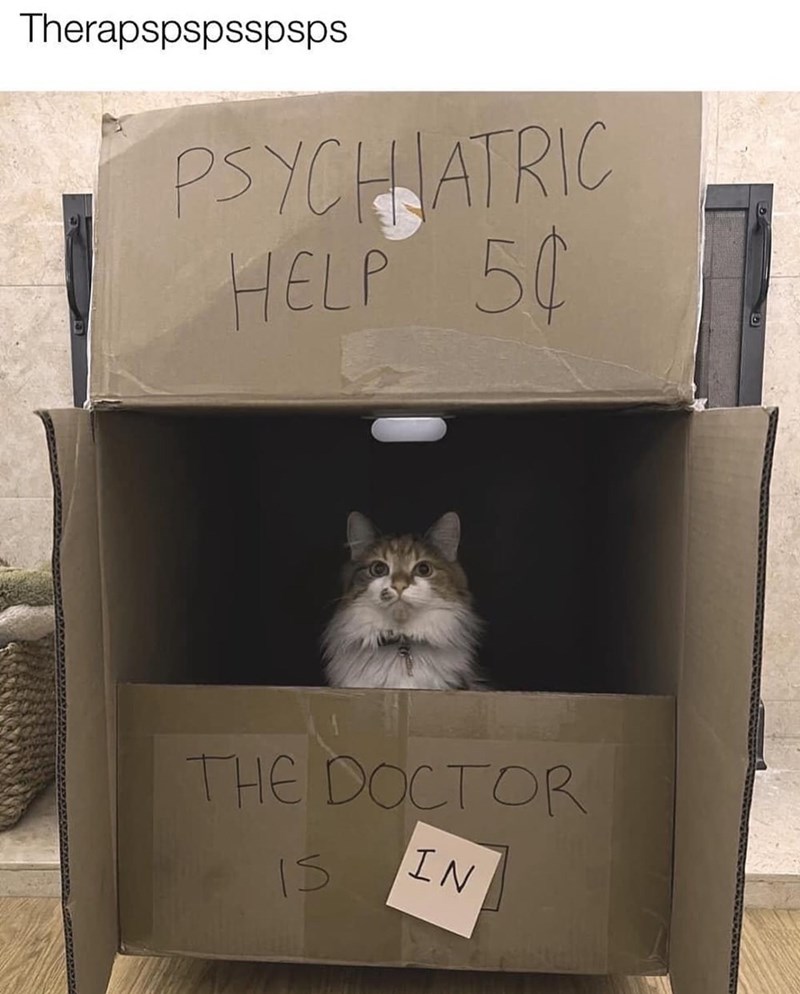 Therapspspsspsps PSYCHIATRIC HELP 50 THE DOCTOR Is IN