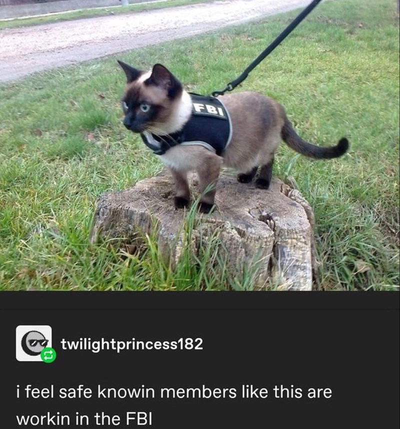 FBI twilightprincess182 i feel safe knowin members like this are workin in the FBI