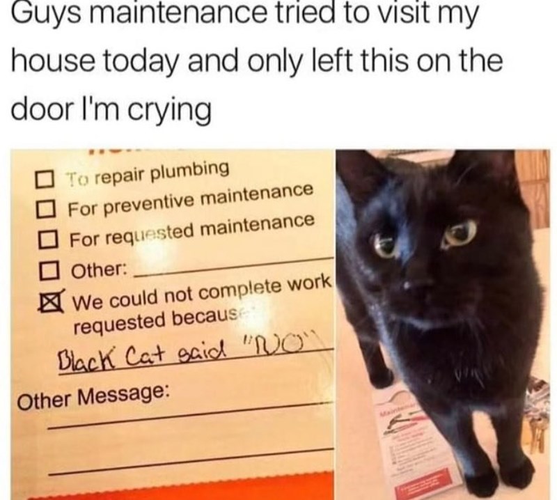 Guys maintenance tried to visit my house today and only left this on the door I'm crying To repair plumbing For preventive maintenance For requested maintenance Other: We could not complete work requested because Black Cat said "NO" Other Message: