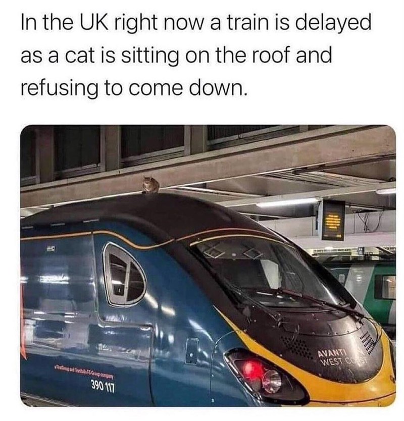 In the UK right now a train is delayed as a cat is sitting on the roof and refusing to come down. Frating and Tenbills FS Group comp 390 117 AVANTI WEST COST