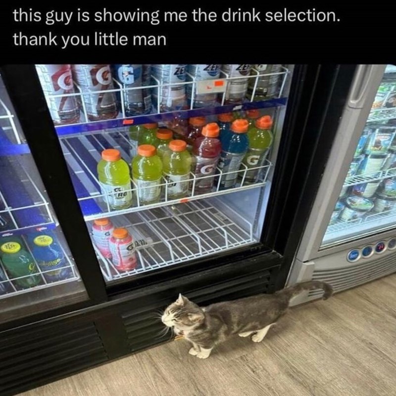 159 this guy is showing me the drink selection. thank you little man CIG ERO GA
