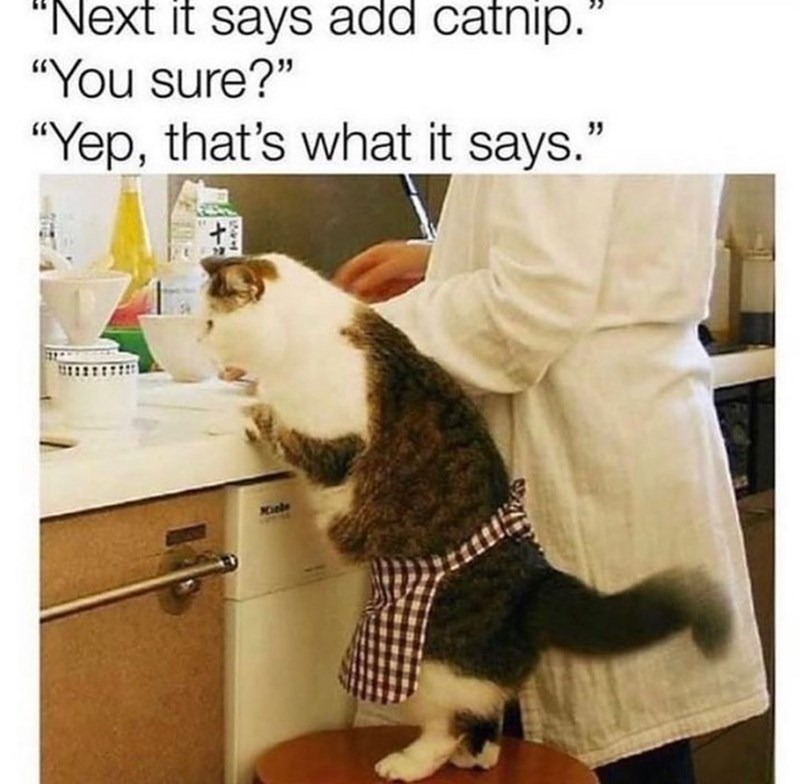 "Next it says add catnip.'" "You sure?" "Yep, that's what it says." Hiebe