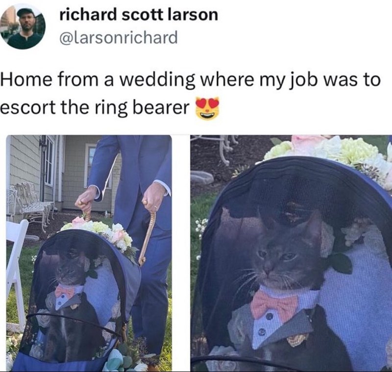 richard scott larson @larsonrichard Home from a wedding where my job was to escort the ring bearer