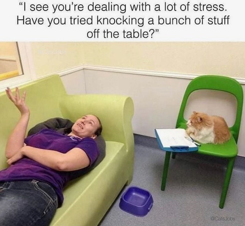 "I see you're dealing with a lot of stress. Have you tried knocking a bunch of stuff off the table?" @CatsJobs @CatsJobs