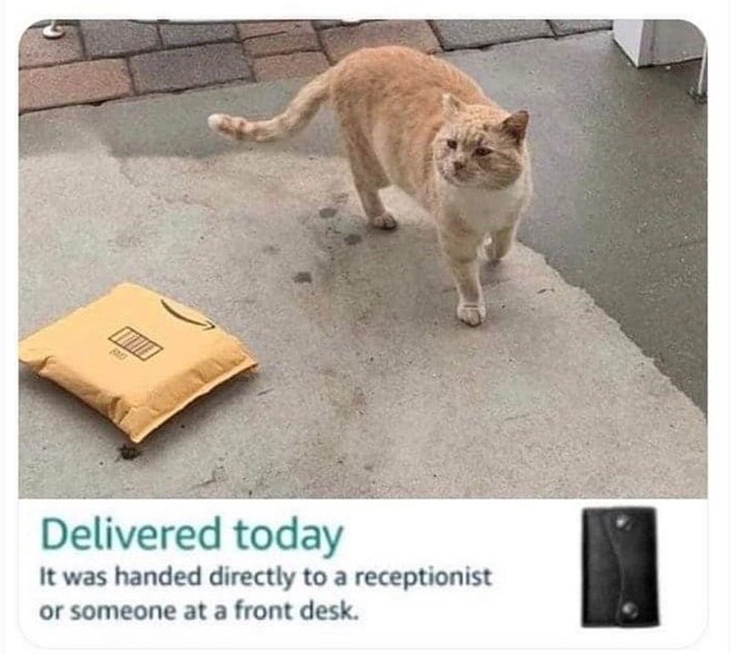 Delivered today It was handed directly to a receptionist or someone at a front desk.