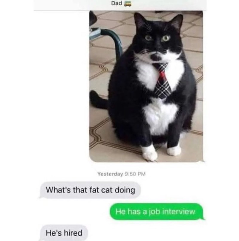 Dad Yesterday 9:50 PM What's that fat cat doing He has a job interview He's hired