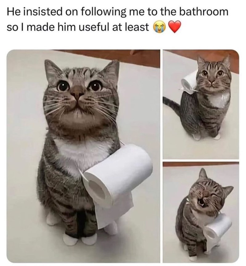 He insisted on following me to the bathroom so I made him useful at least
