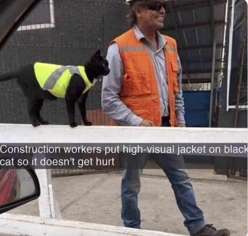 Construction workers put high-visual jacket on black cat so it doesn't get hurt