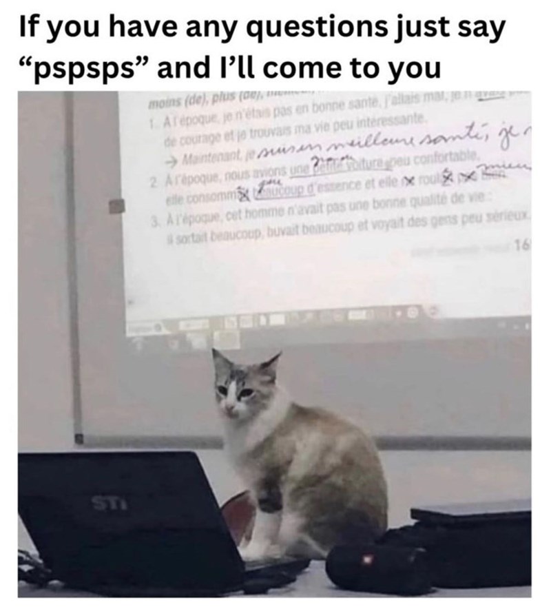 If you have any questions just say "pspsps" and I'll come to you moins (de), plus (00), 1. Arépoque, je n'étais pas en bonne santé, j'allais mat, je na de courage et je trouvais ma vie peu intéressante. →Maintenant, je suis meilleure santé, je 2 Arépoque, nous avions une foiture peu confortable. ette consommaucoup d'essence et elle roul 3. A l'époque, cet homme n'avait pas une bonne qualité de vie: sortait beaucoup, buvait beaucoup et voyait des gens peu sérieux STI 16