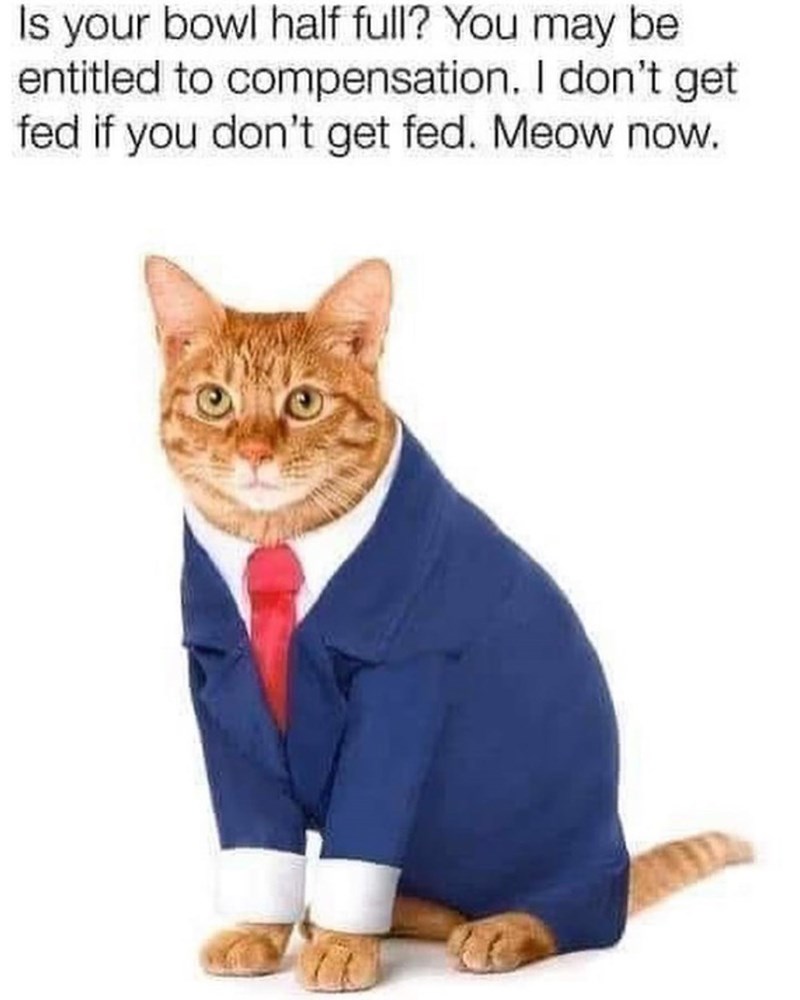 Is your bowl half full? You may be entitled to compensation. I don't get fed if you don't get fed. Meow now.