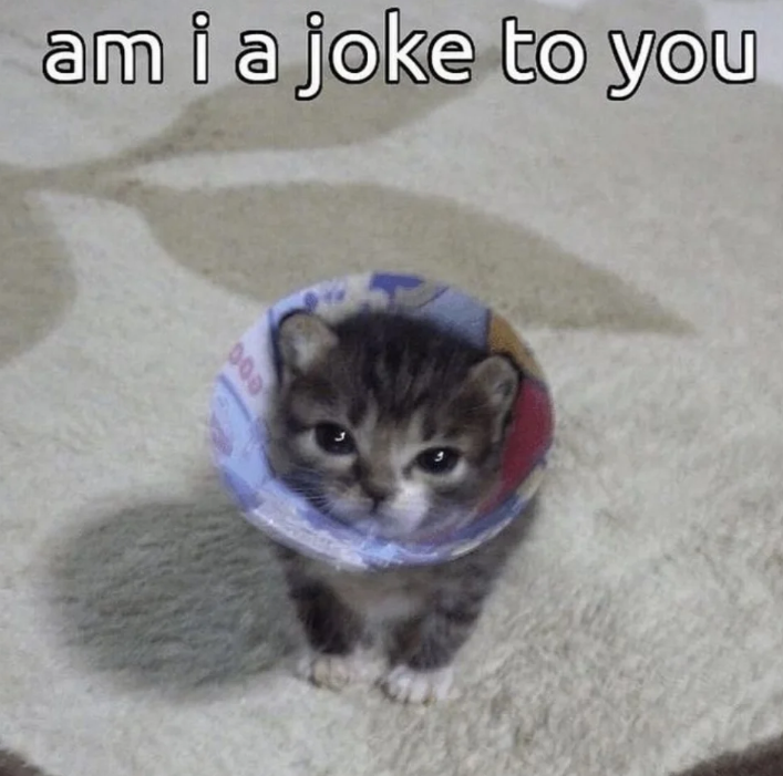 ami a joke to you 000