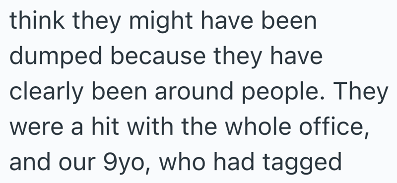 think they might have been dumped because they have clearly been around people. They were a hit with the whole office, and our 9yo, who had tagged