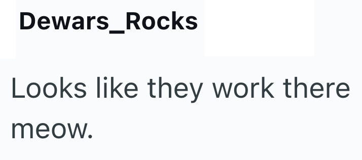Dewars_Rocks Looks like they work there meow.