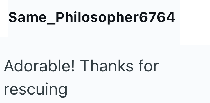 Same_Philosopher6764 Adorable! Thanks for rescuing