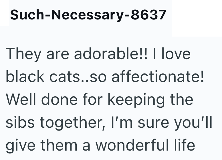 Such-Necessary-8637 They are adorable!! I love black cats..so affectionate! Well done for keeping the sibs together, I'm sure you'll give them a wonderful life