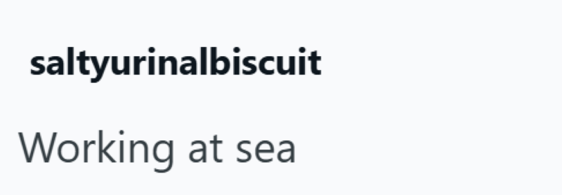 saltyurinalbiscuit Working at sea