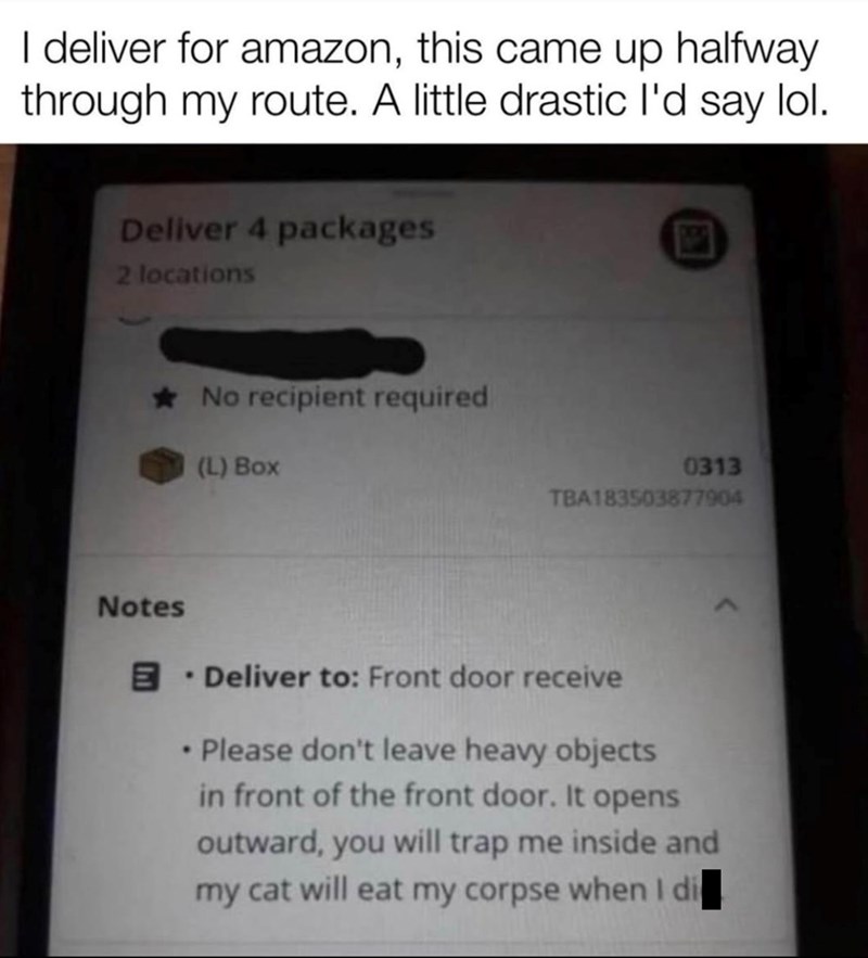 I deliver for amazon, this came up halfway through my route. A little drastic I'd say lol. Deliver 4 packages 2 locations *No recipient required (L) Box 0313 TBA183503877904 Notes B • • Deliver to: Front door receive Please don't leave heavy objects in front of the front door. It opens outward, you will trap me inside and my cat will eat my corpse when I di