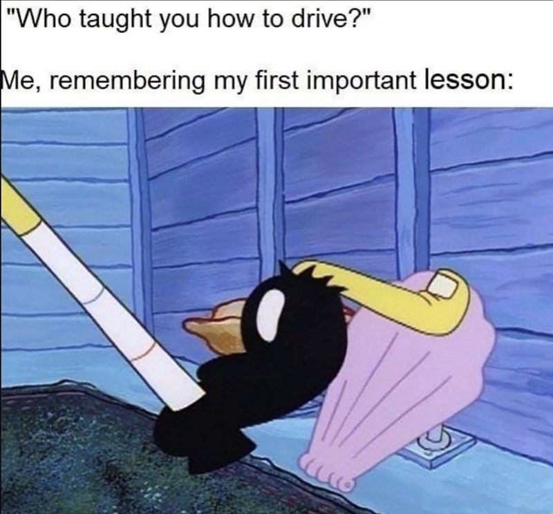 "Who taught you how to drive?" Me, remembering my first important lesson: 910