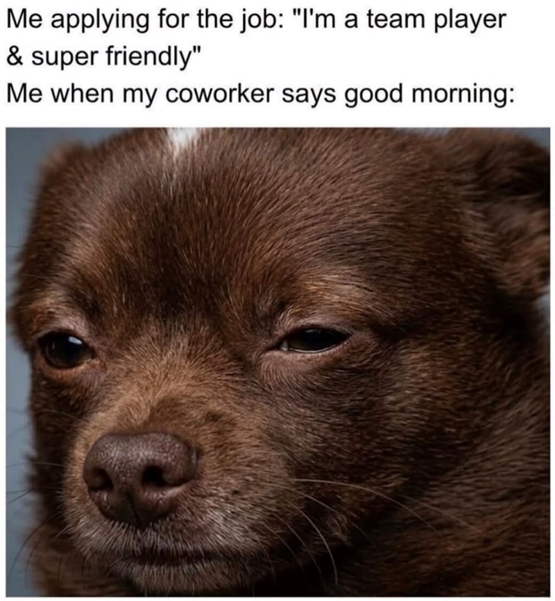 Me applying for the job: "I'm a team player & super friendly" Me when my coworker says good morning: