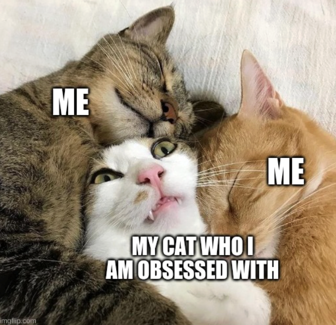 imgflip.com ME MY CAT WHO I AM OBSESSED WITH ME