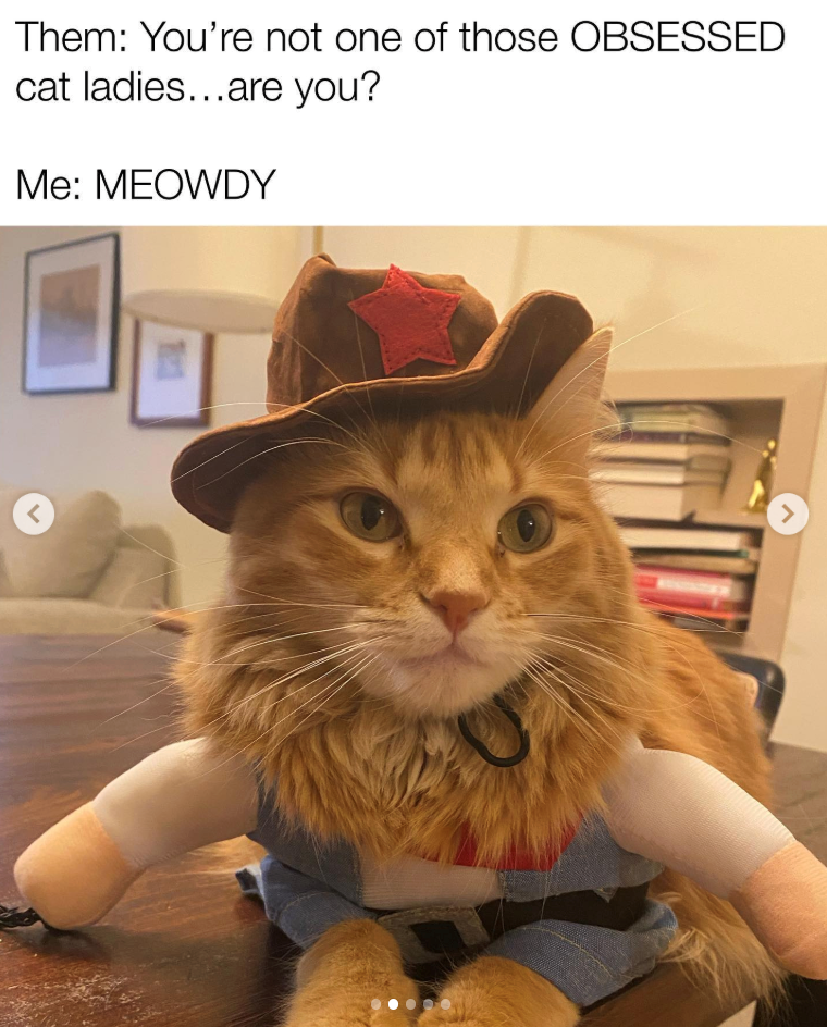 Them: You're not one of those OBSESSED cat ladies...are you? Me: MEOWDY < >