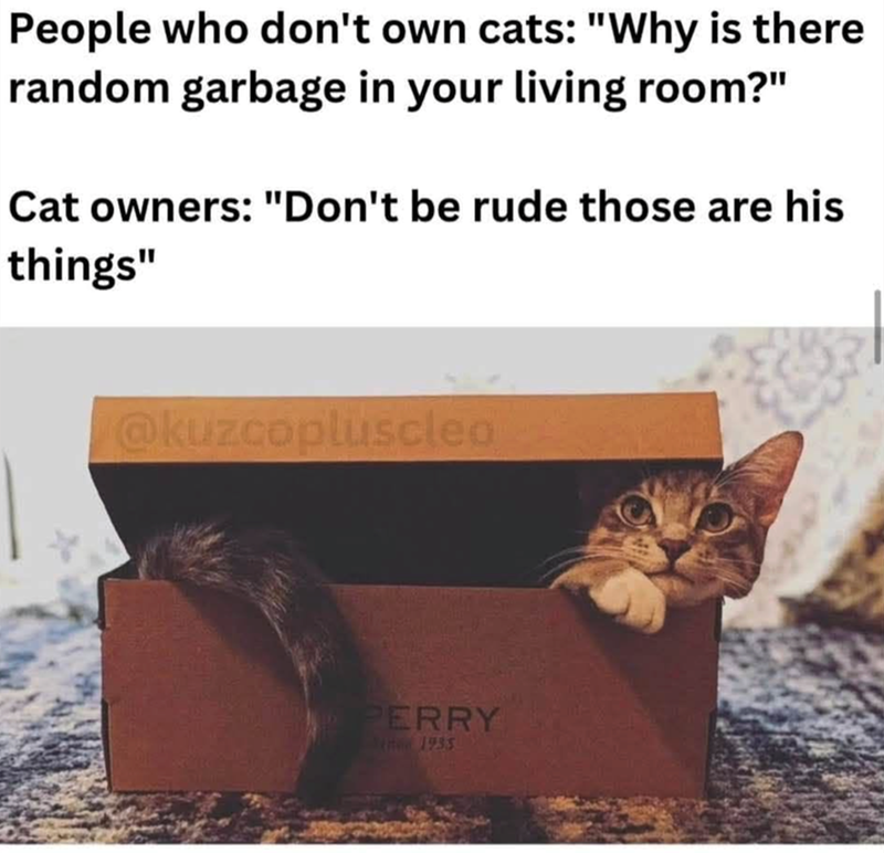 People who don't own cats: "Why is there random garbage in your living room?" Cat owners: "Don't be rude those are his things" @kuzcopluscleo PERRY June 1935