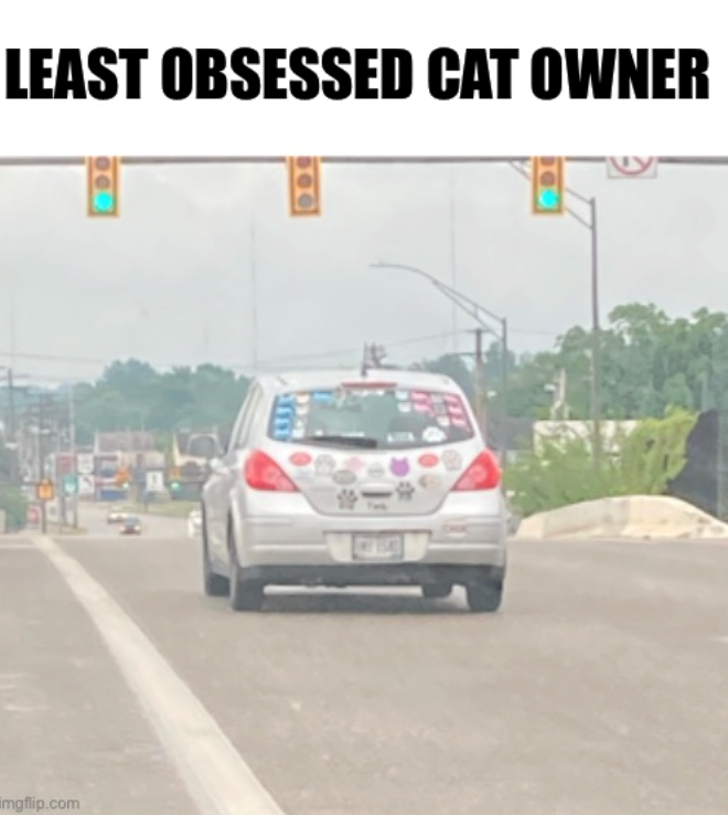 LEAST OBSESSED CAT OWNER imgflip.com 000 500
