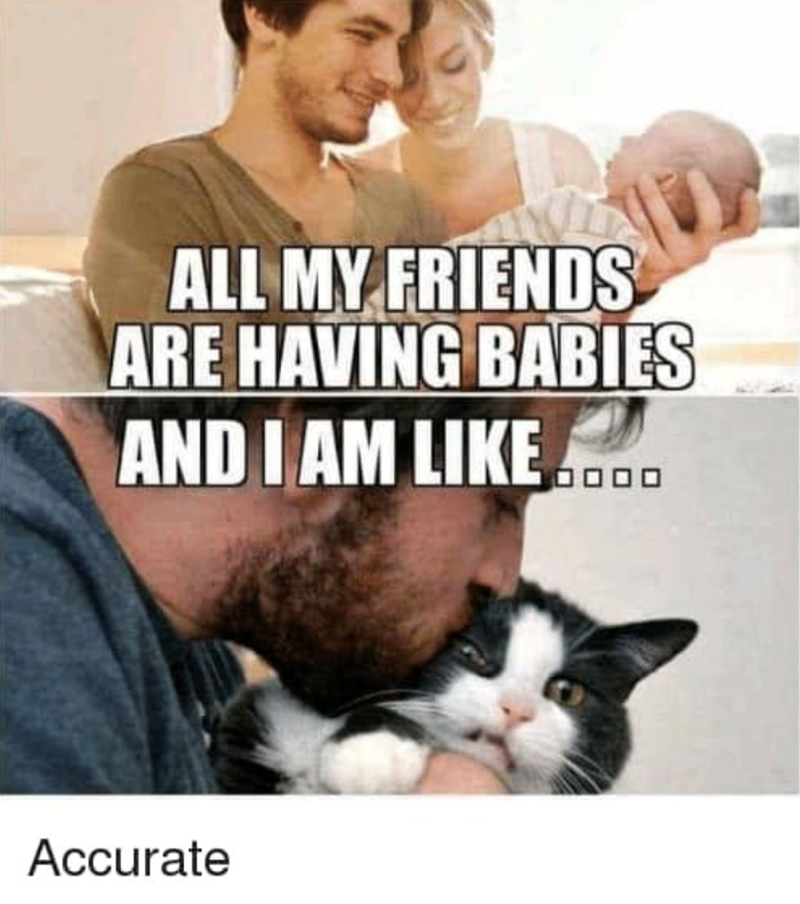 ALL MY FRIENDS ARE HAVING BABIES AND I AM LIKE 0 Accurate