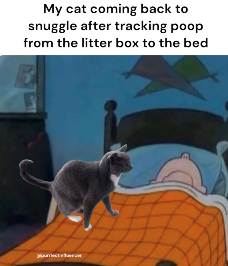 @purrfectinfluencer Zach Mcclintic My cat coming back to snuggle after tracking poop from the litter box to the bed