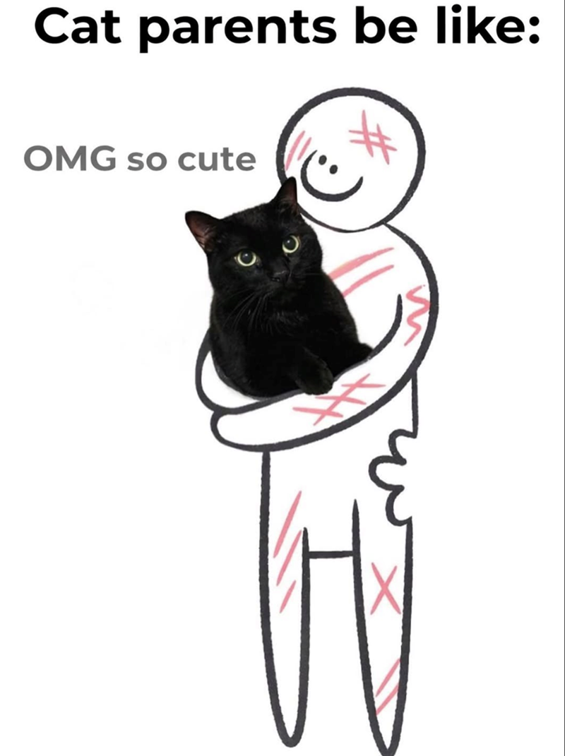 Cat parents be like: OMG so cute X