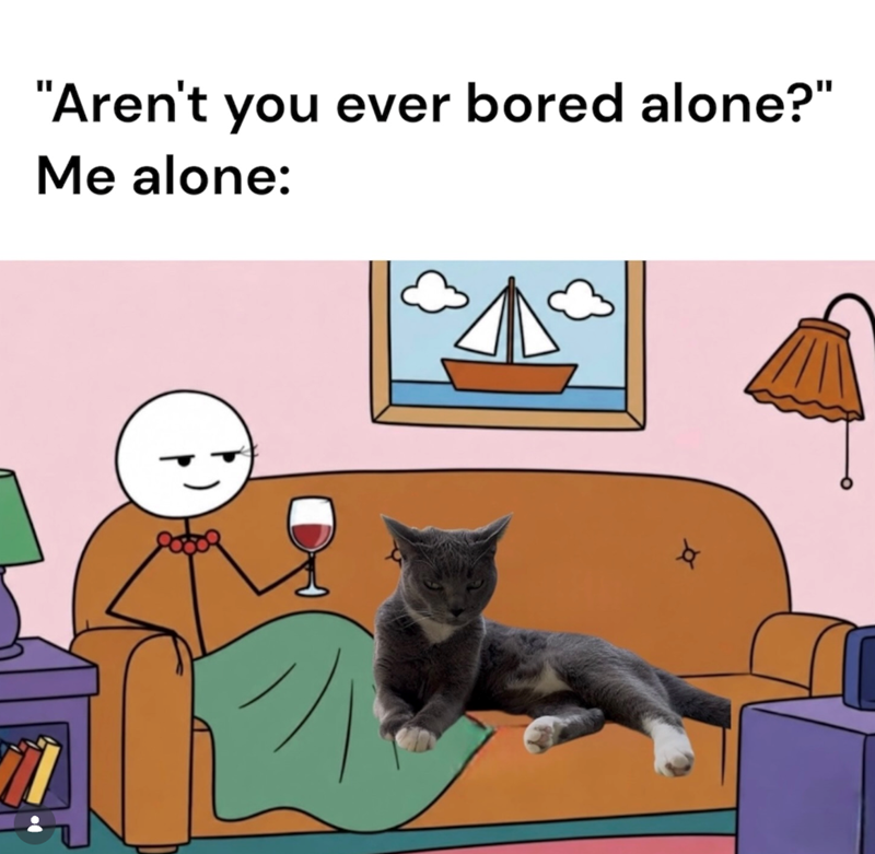 "Aren't you ever bored alone?" Me alone: