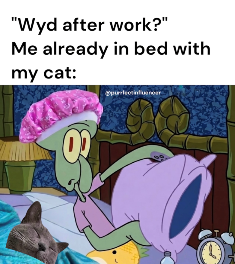 "Wyd after work?" Me already in bed with my cat: @purrfectinfluencer 0 00