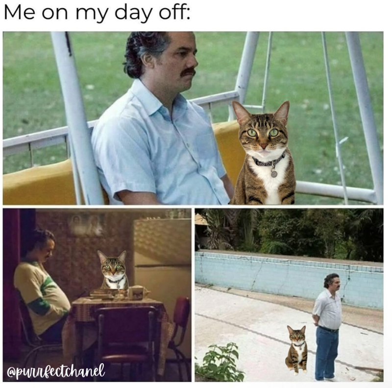 Me on my day off: @purrfectchanel