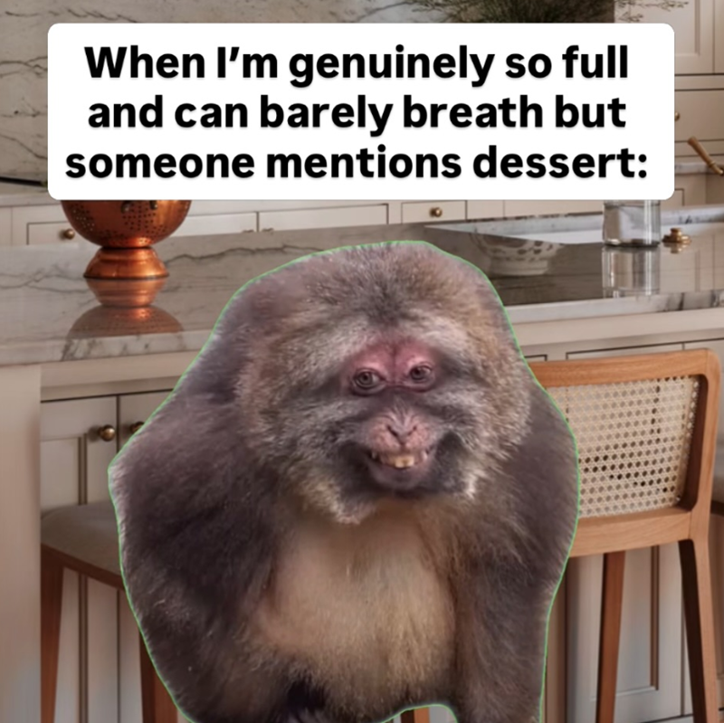 When I'm genuinely so full and can barely breath but someone mentions dessert: