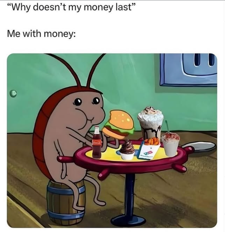 "Why doesn't my money last" Me with money: