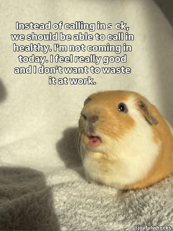 Instead of calling in s ck, we should be able to call in healthy. I'm not coming in today. I feel really good and I don't want to waste it at work. Cjoyfulwheeks