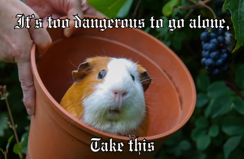 It's too dangerous to go alone, Take this