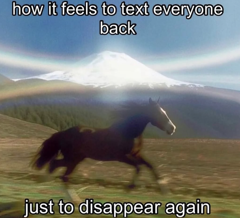 how it feels to text everyone back just to disappear again