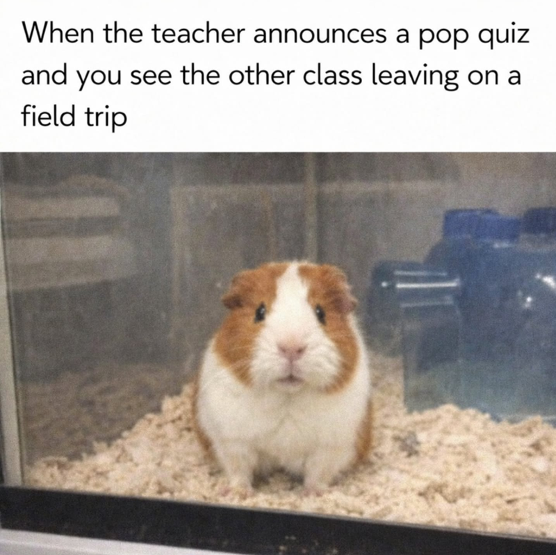 When the teacher announces a pop quiz and you see the other class leaving on a field trip
