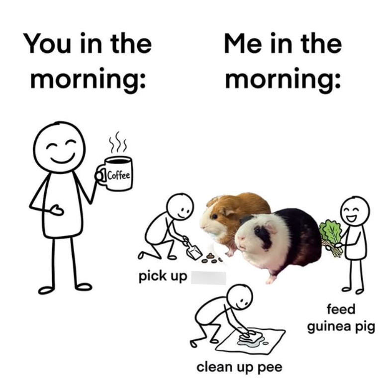 You in the morning: Me in the morning: Coffee pick up clean up pee D feed guinea pig