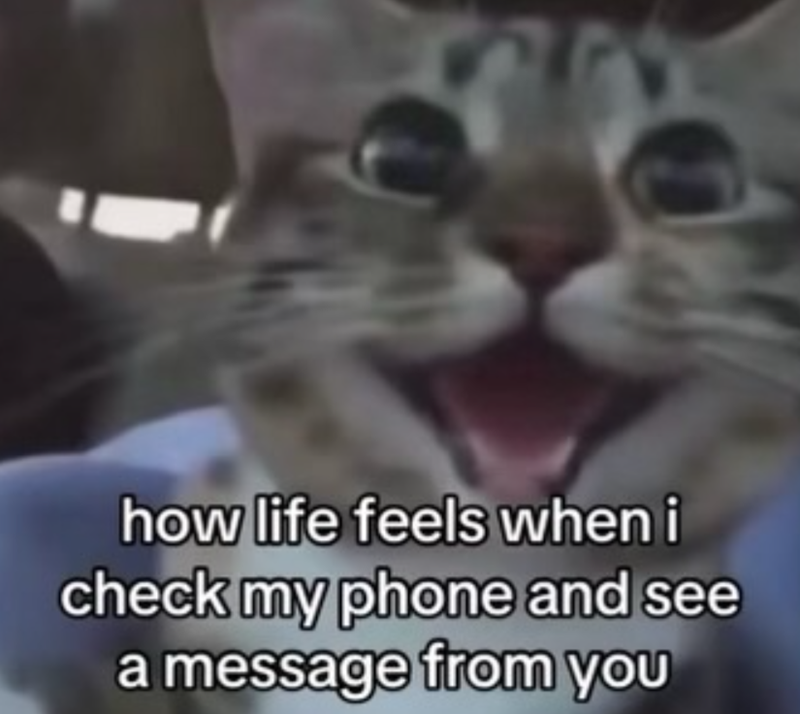 how life feels when i check my phone and see a message from you