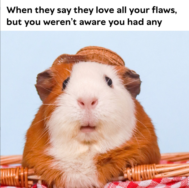 When they say they love all your flaws, but you weren't aware you had any
