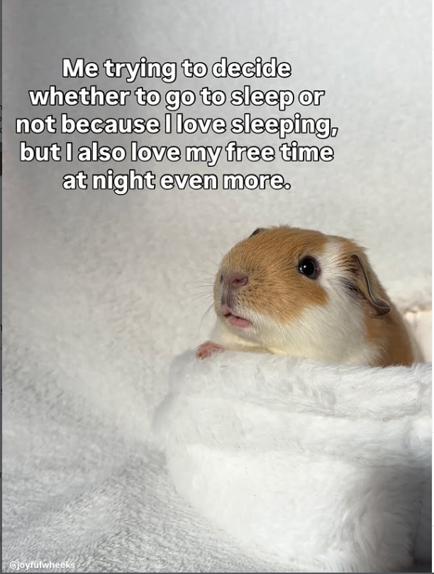Me trying to decide whether to go to sleep or not because I love sleeping, but I also love my free time at night even more. Gjoyfulwheeks