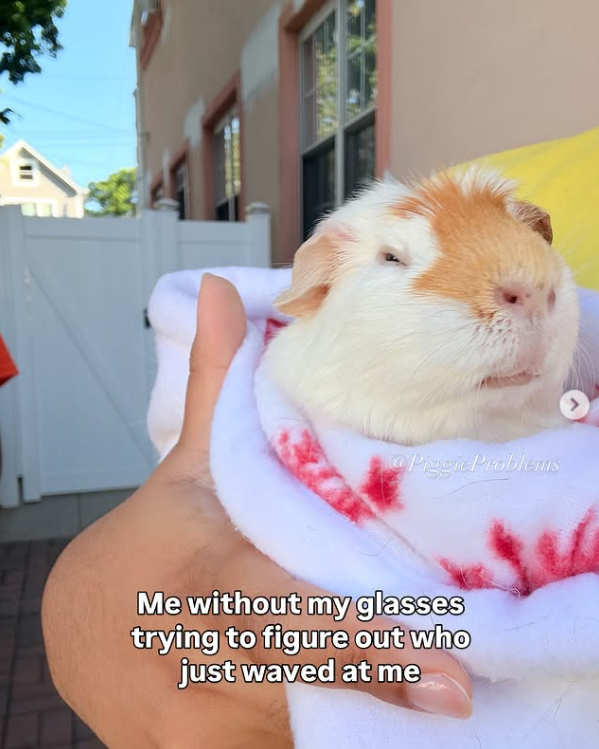 @Piggie Problems Me without my glasses trying to figure out who just waved at me