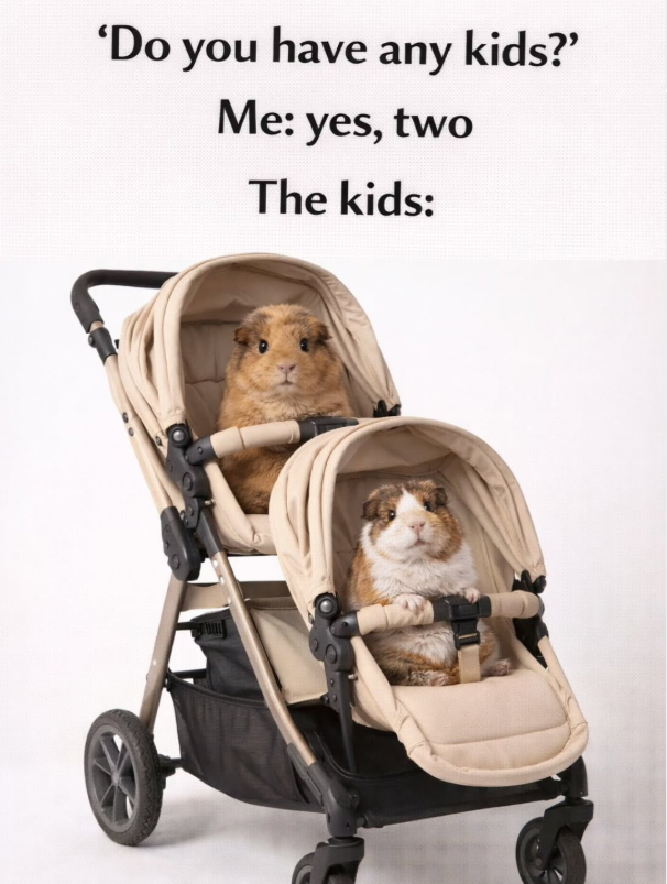'Do you have any kids?" Me: yes, two The kids: