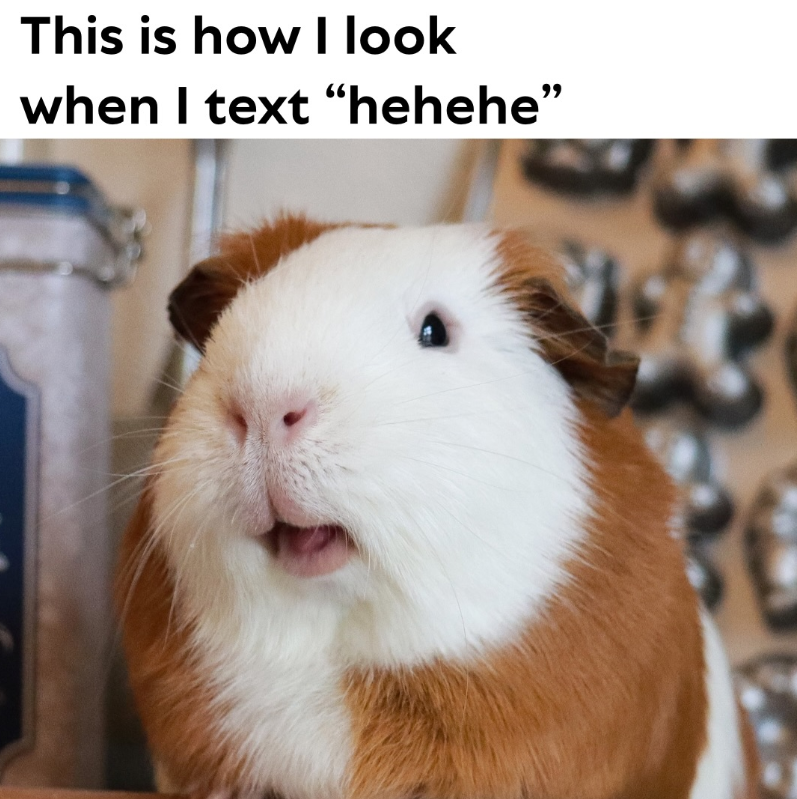 This is how I look when I text "hehehe"