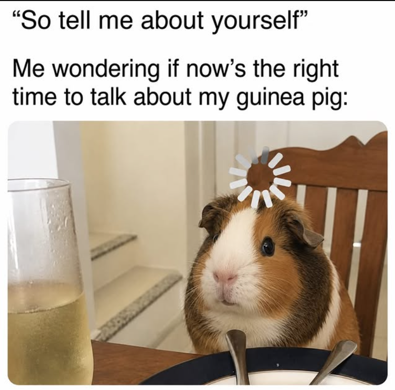 "So tell me about yourself" Me wondering if now's the right time to talk about my guinea pig: