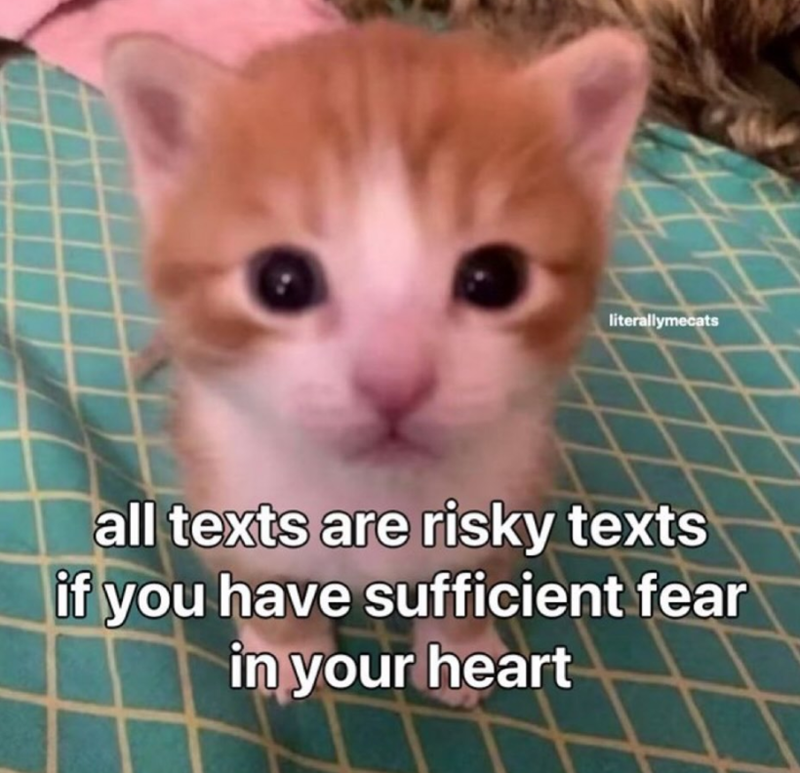 literallymecats all texts are risky texts if you have sufficient fear in your heart